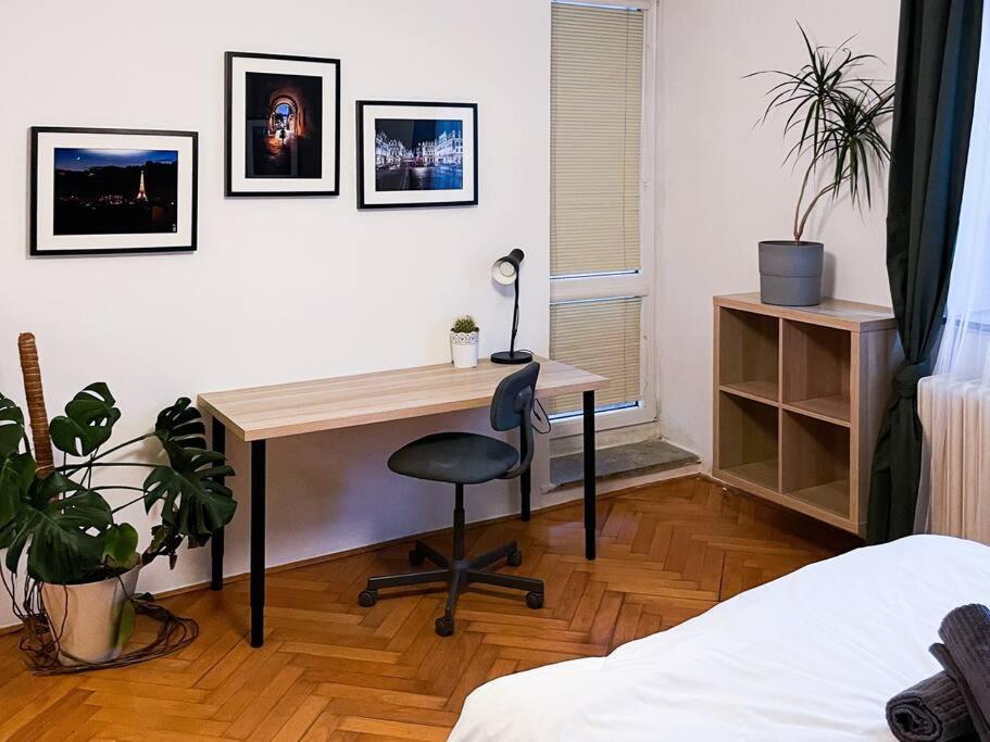 Rodinny Byt Pro 4 Na Brno-Stred Bagian luar foto